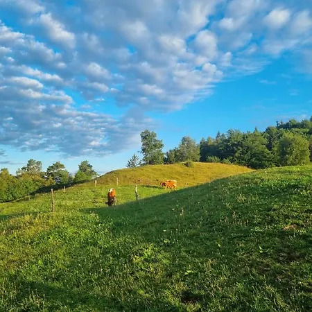 Apartma Ana In Manca Apartman Begunje na Gorenjskem