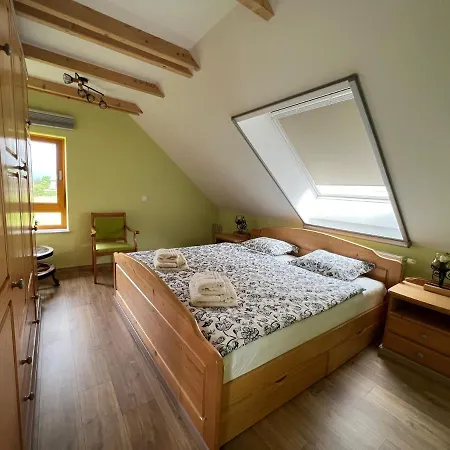 Apartma Ana In Manca Бегунье-на-Гореньскем