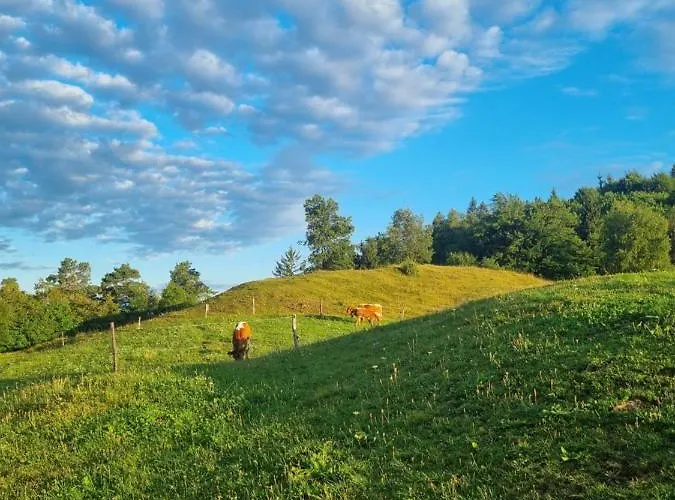 Apartma Ana In Manca Daire Begunje na Gorenjskem